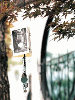 Funny Screensavers 0060